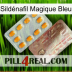 Sildénafil Magique Bleu new13